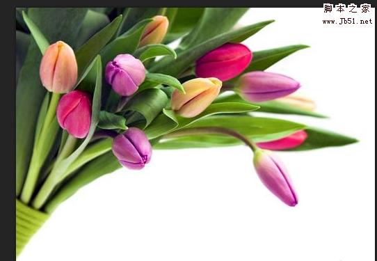 ps去水印教程:PS怎么完美清除铺满图片的水印?